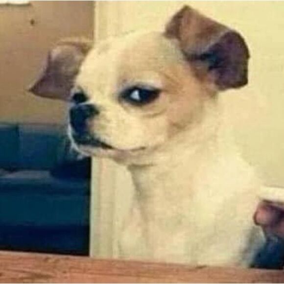 Miami || Pink Floral Print Dress || Small - Picture 10 of 12